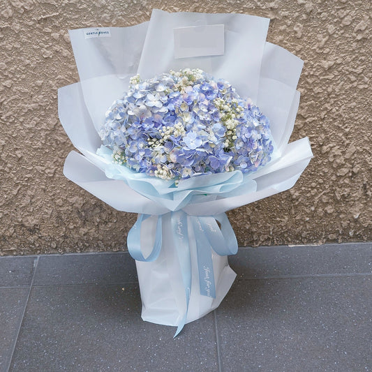 Blue Hydrangeas and Gypsophila Large Bouquet