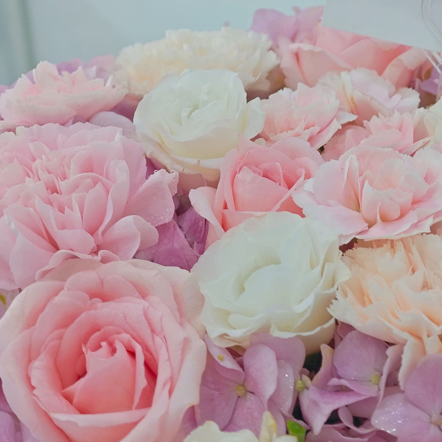 Pink Hydrangeas and Assorted Soft Pink Flowers in Medium Box Arrangement