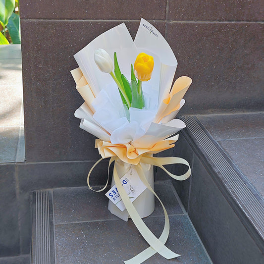 āļāđāļāļāļāļāļāļīāļ§āļĨāļīāļ āļŠāļĩāļāļēāļ§ āđāļĨāļ° āļŠāļĩāđāļŦāļĨāļ·āļāļ 2 āļāļāļ āļŦāđāļāļāļĢāļ°āļāļēāļĐāļŠāļĩāļāļēāļ§ āđāļĨāļ° āļŠāļĩāđāļŦāļĨāļ·āļāļāļāđāļāļ