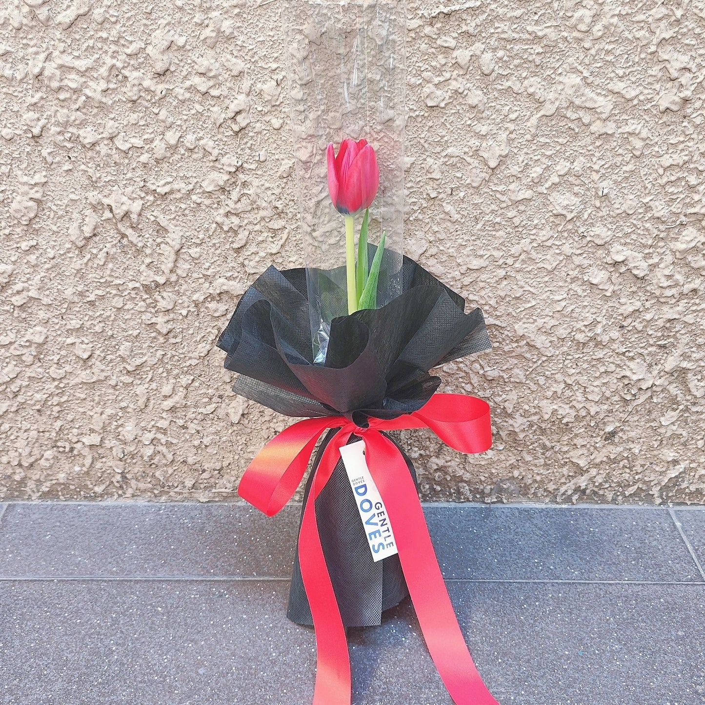 Single Red Tulip in Cylinder Black Paper Bouquet