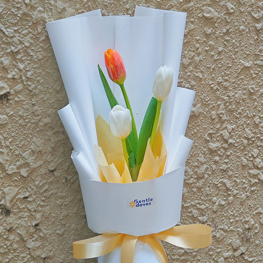 āļāđāļāļāļāļāļāļīāļ§āļĨāļīāļ āļŠāļĩāļāļēāļ§ āđāļĨāļ° āļŠāļĩāļŠāđāļĄ 3 āļāļāļ āļŦāđāļāļāļĢāļ°āļāļēāļĐāļŠāļĩāļāļēāļ§ āđāļĨāļ° āļŠāļĩāđāļŦāļĨāļ·āļāļāļāļļāđāļ