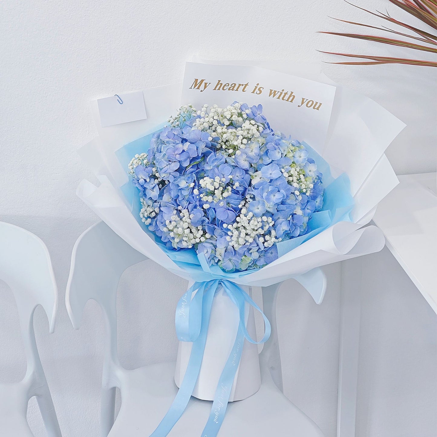 ช่อดอกไฮเดรนเยีย สีฟ้า และ ยิปโซฟิลล่า มีข้อความติด 'My Heart is with you' ช่อขนาดใหญ่พิเศษ