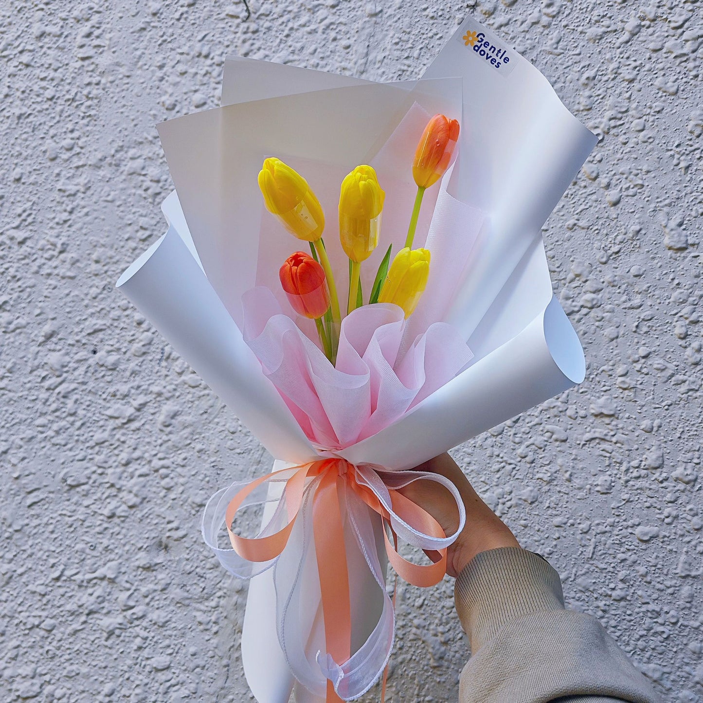 āļāđāļāļāļāļāļāļīāļ§āļĨāļīāļ āļŠāļĩāđāļŦāļĨāļ·āļāļ āļāļĨāļ° āļŠāļĩāļŠāđāļĄ 5 āļāļāļ