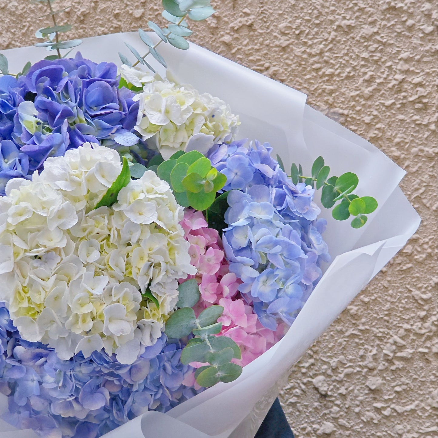 Eight Assorted Colors Hydrangeas in White Paper Extra Large Bouquet