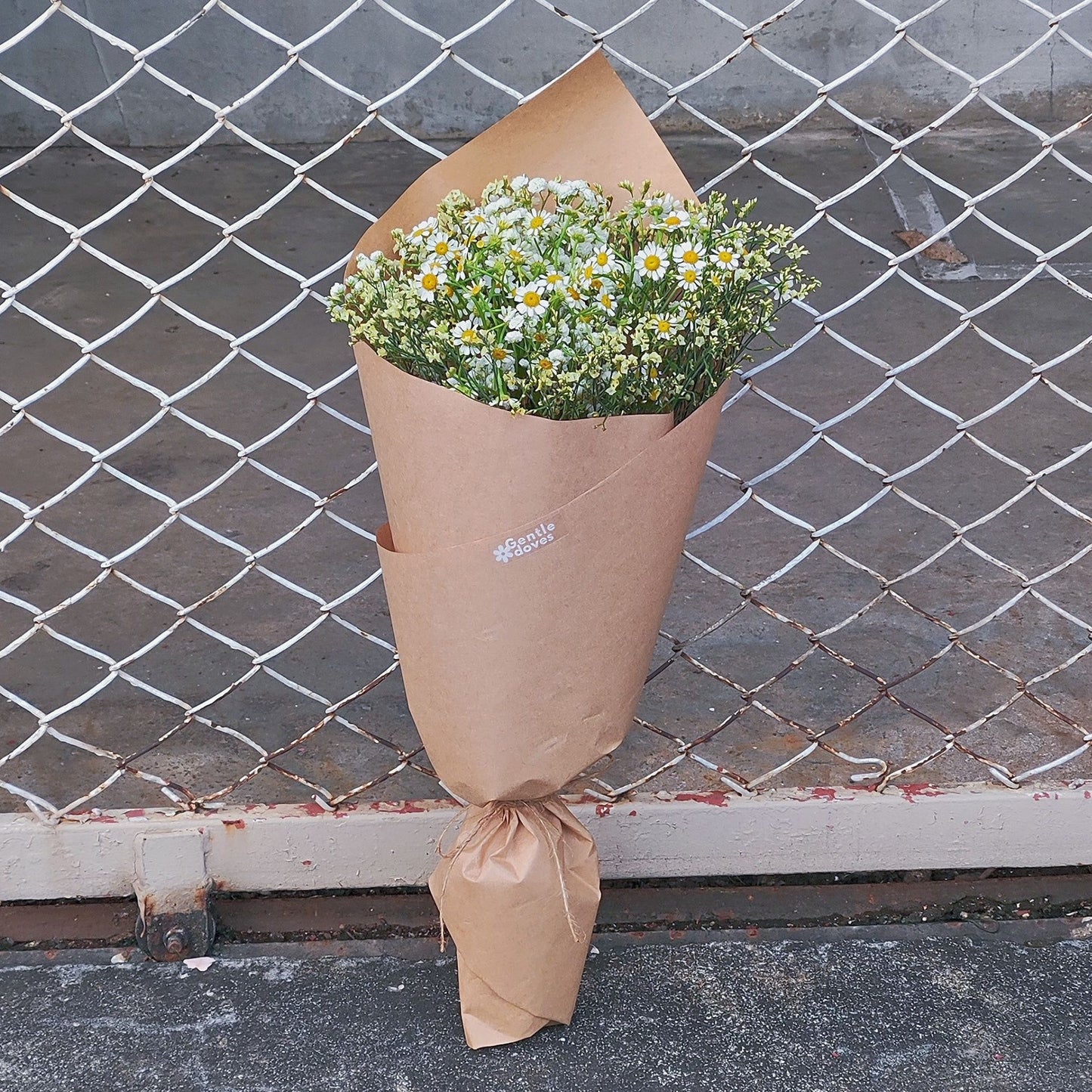 Assorted Filler Flowers: Daisies, Limonium and Gypsophila in Kraft Paper Bouquet