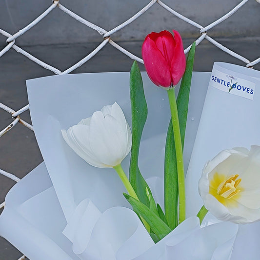 āļāđāļāļāļāļāļāļīāļ§āļĨāļīāļ āļŠāļĩāđāļāļ āđāļĨāļ° āļŠāļĩāļāļēāļ§ 3 āļāļāļ āļŦāđāļāļāļĢāļ°āļāļēāļĐāļŠāļĩāļāļēāļ§