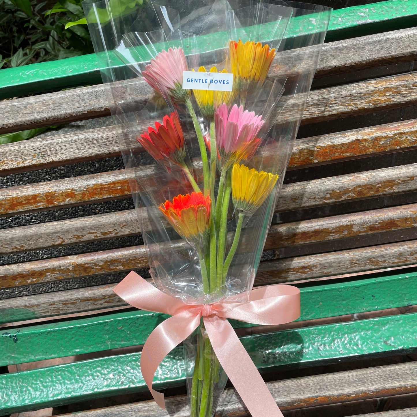 Eight Assorted Colors Gerberas Minimal Bouquet