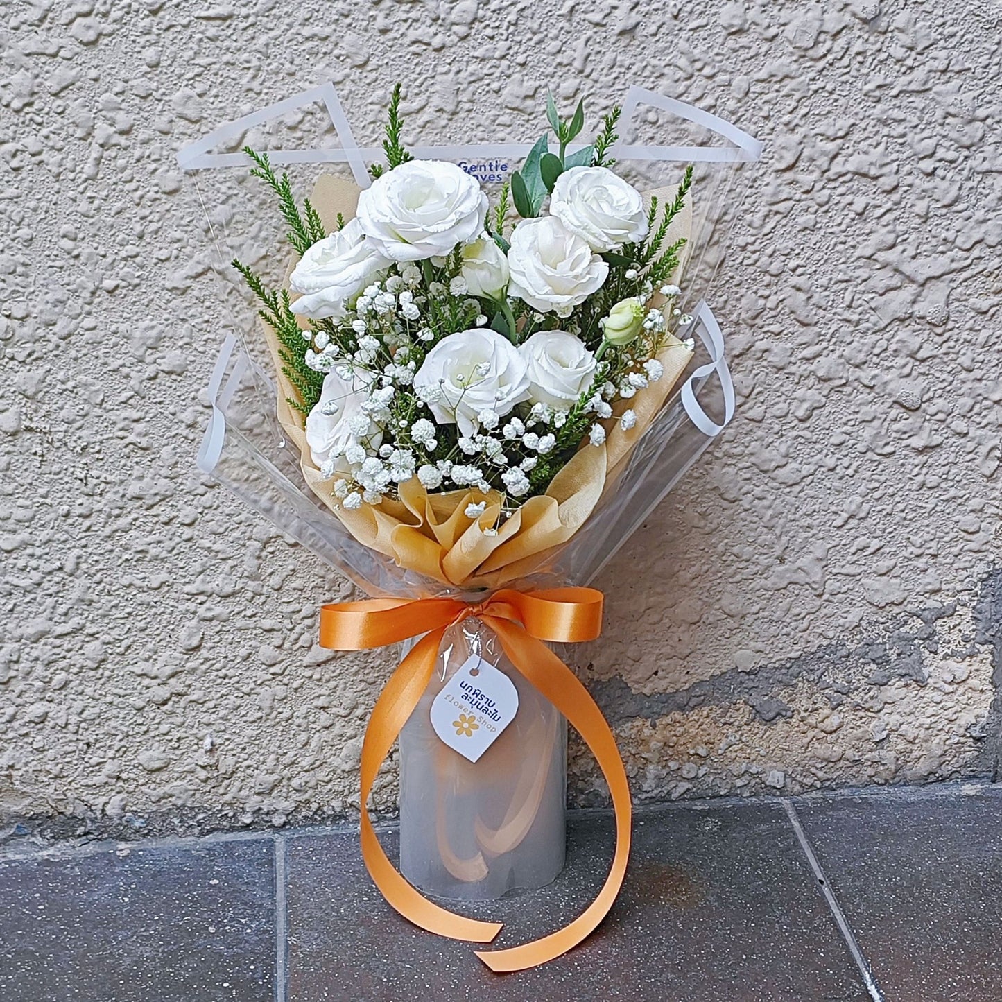 āļāđāļāļāļāļāļĨāļīāļāļīāđāļāļāļāļąāļŠ āļŠāļĩāļāļēāļ§ āđāļĨāļ° āļĒāļīāļāđāļāļāļīāļĨāļĨāđāļē āļāļąāļ āļŠāļāļāļđāļāļī