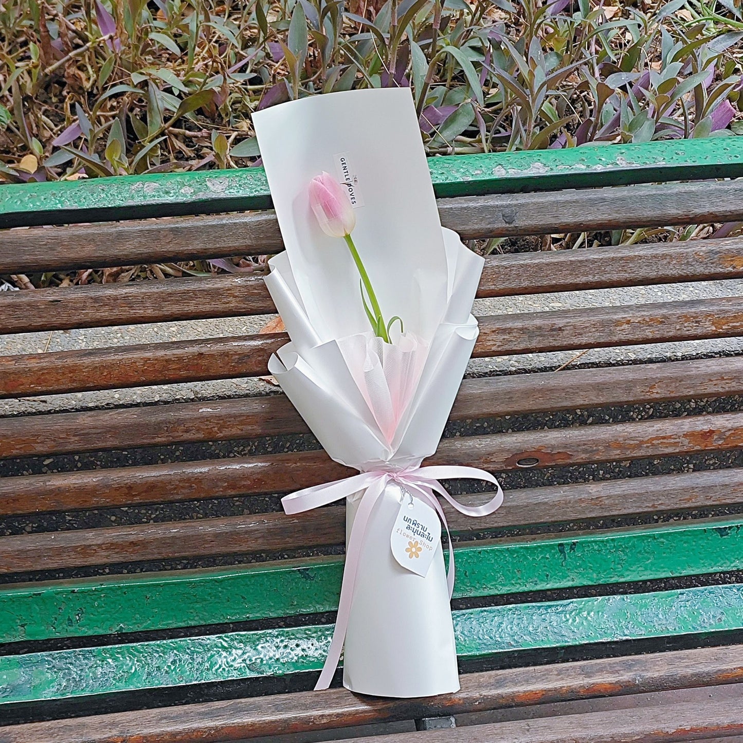 Single Soft Pink Tulip in White Minimal Paper Bouquet