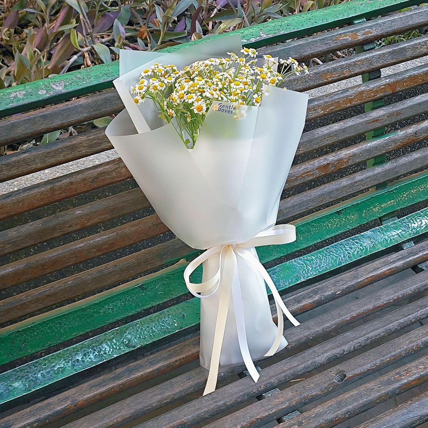 Daisies in Matte Paper Small Bouquet