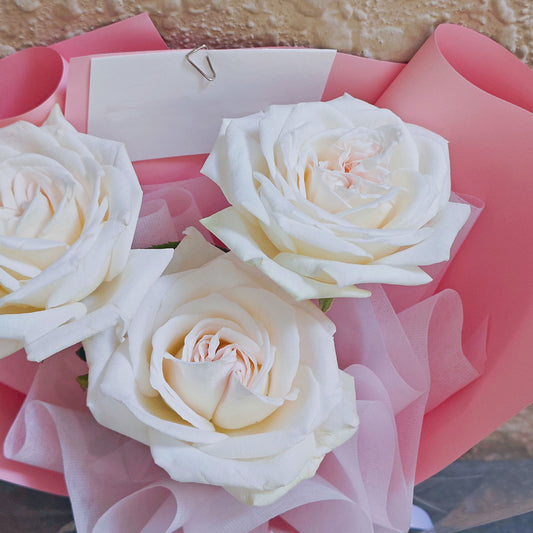 āļāđāļāļāļāļāļāļļāļŦāļĨāļēāļāļŠāļēāļĒāļāļąāļāļāđāļāļąāļāļāļĪāļĐ āļŠāļĩāļāļēāļ§ 3 āļāļāļ āļŦāđāļāļāļĢāļ°āļāļēāļĐāļŠāļĩāļāļĄāļāļđ āļāđāļāļāļāļēāļāđāļĨāđāļ