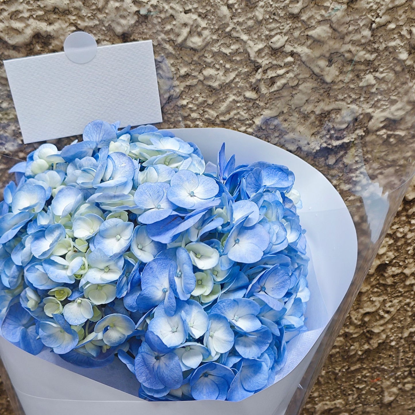 Single Blue Hydrangea in White Paper Minimal Bouquet