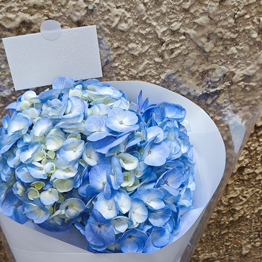 ช่อดอกไฮเดรนเยีย สีฟ้า 1 ดอก ห่อมินิมอล กระดาษห่อสีขาว