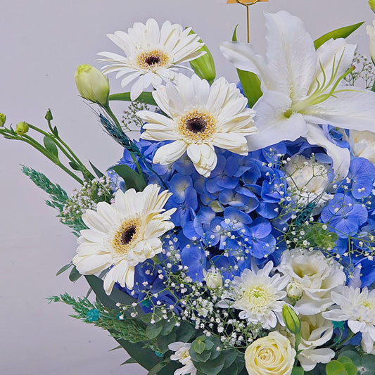 āđāļāļāļąāļāļāļāļāđāļĄāđ āđāļāļāļŠāļĩāļāđāļē āđāļĨāļ° āļŠāļĩāļāļēāļ§ āđāļāļāļąāļāđāļāļĢāļēāļĄāļīāļ āļāļāļēāļāļāļĨāļēāļ