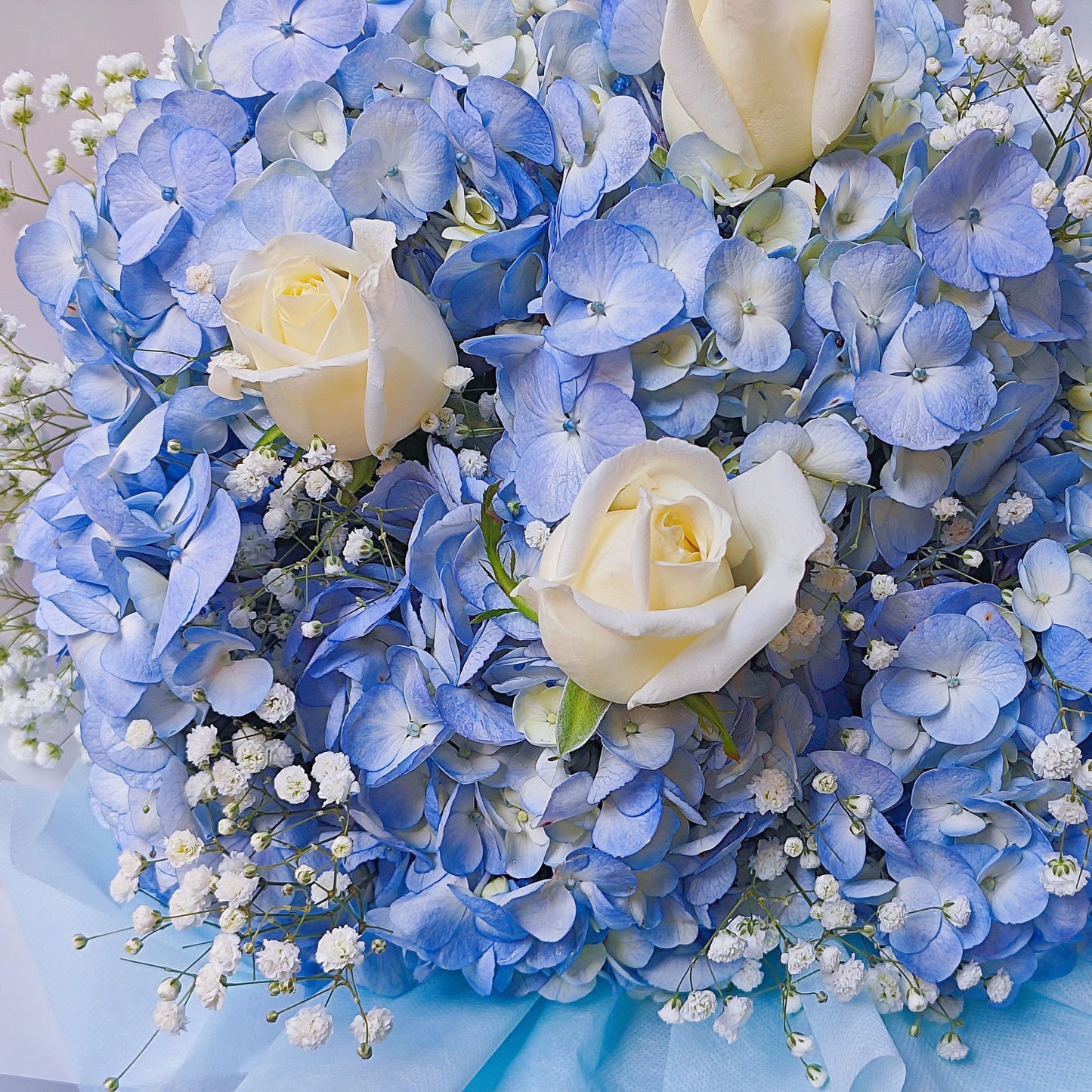 ช่อดอกไฮเดรนเยีย สีฟ้า และ ยิปโซฟิลล่า กับกุหลาบสีขาว 3 ดอก