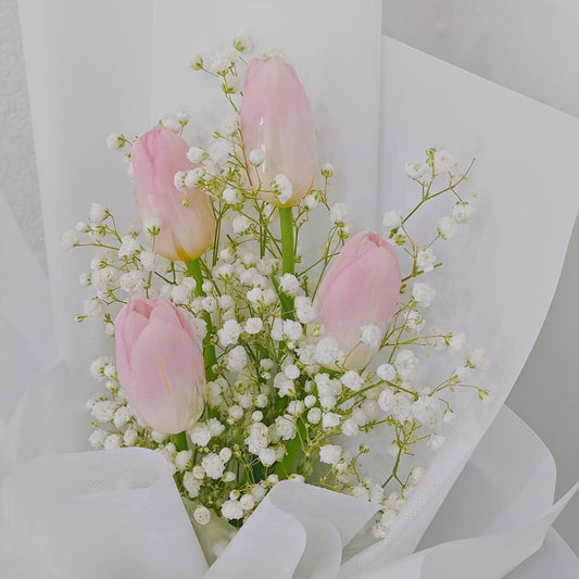 ช่อดอกทิวลิป สีชมพู 4 ดอก แซมยิปโซฟิลล่า ห่อกระดาษสีขาว