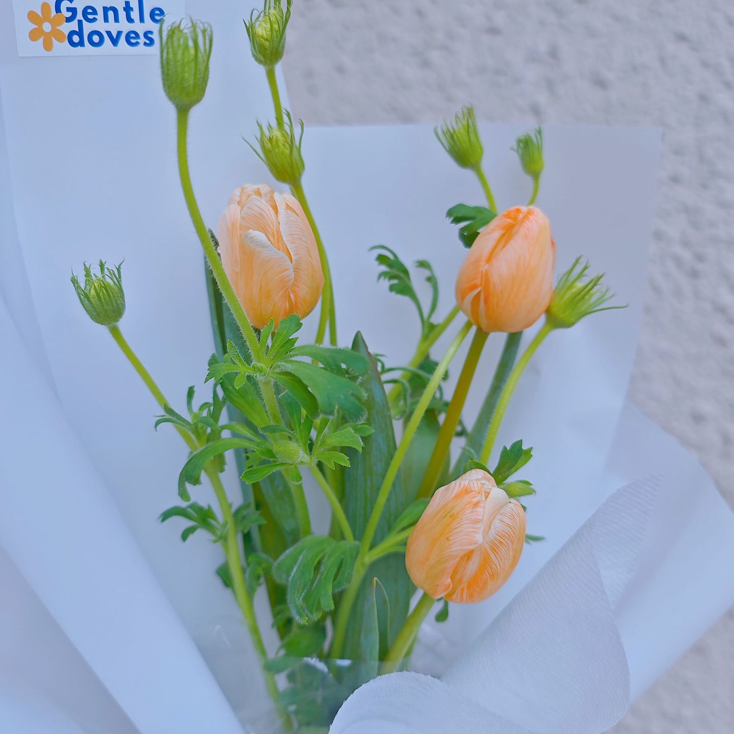 Three Peach-Orange Tulips with Green Foliage Bouquet