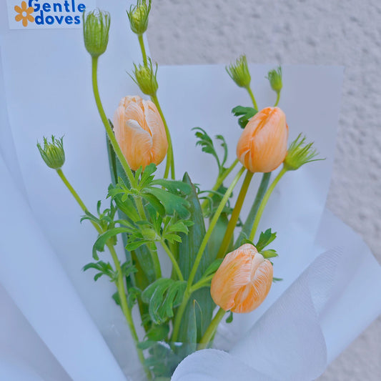 ช่อดอกทิวลิป สีพีชส้ม 3 ดอก กับใบไม้แซมสีเขียว