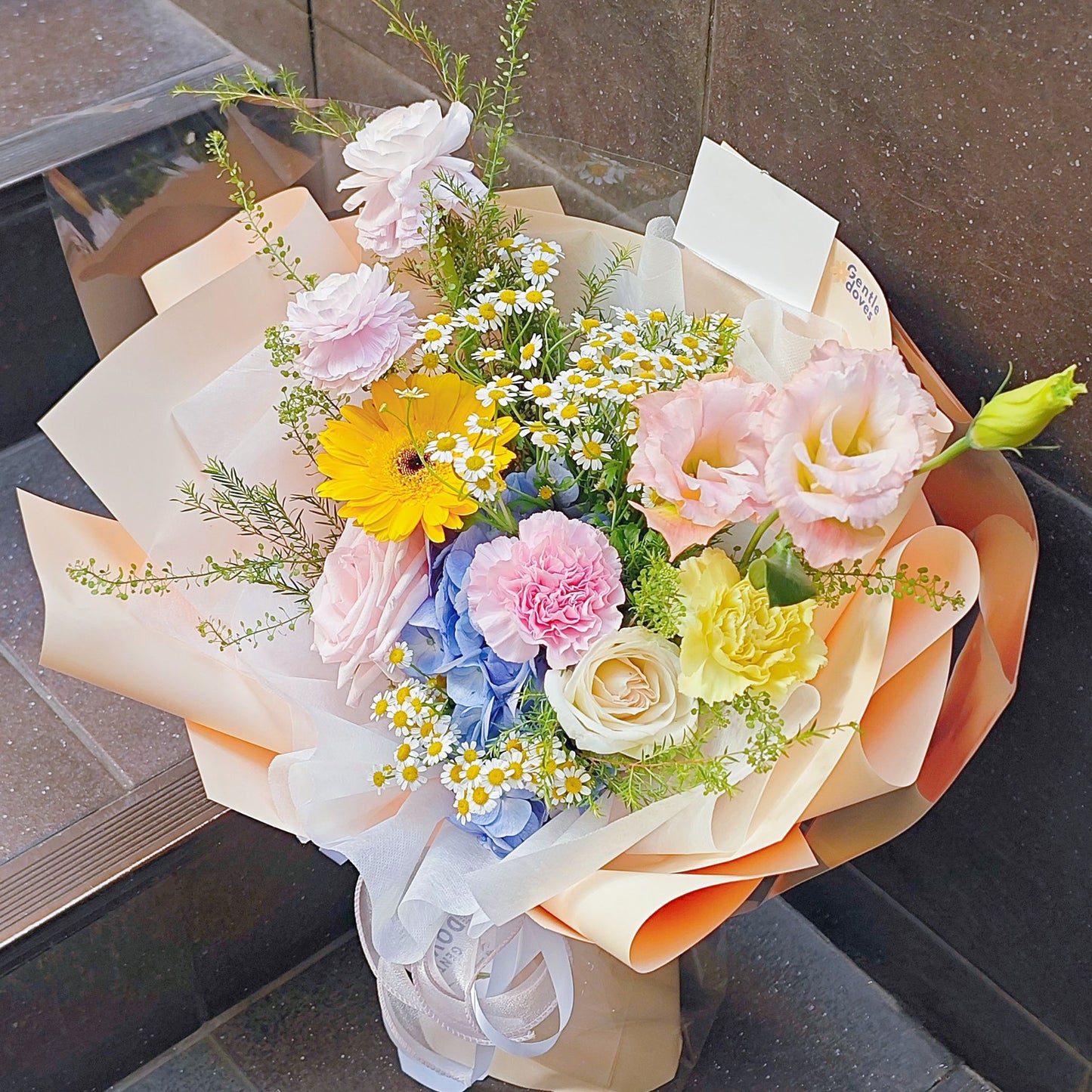 āļāđāļāļāļāļāđāļĄāđāļāļĨāļ° āđāļāļāļŠāļĩāļāļĄāļāļđ āđāļĨāļ° āļŠāļĩāđāļŦāļĨāļ·āļāļ āļāļąāļ āđāļŪāđāļāļĢāļāđāļĒāļĩāļĒāļŠāļĩāļāđāļē āļŦāđāļāļāļĢāļ°āļāļēāļĐāļŠāļĩāđāļŦāļĨāļ·āļāļāļāđāļāļ