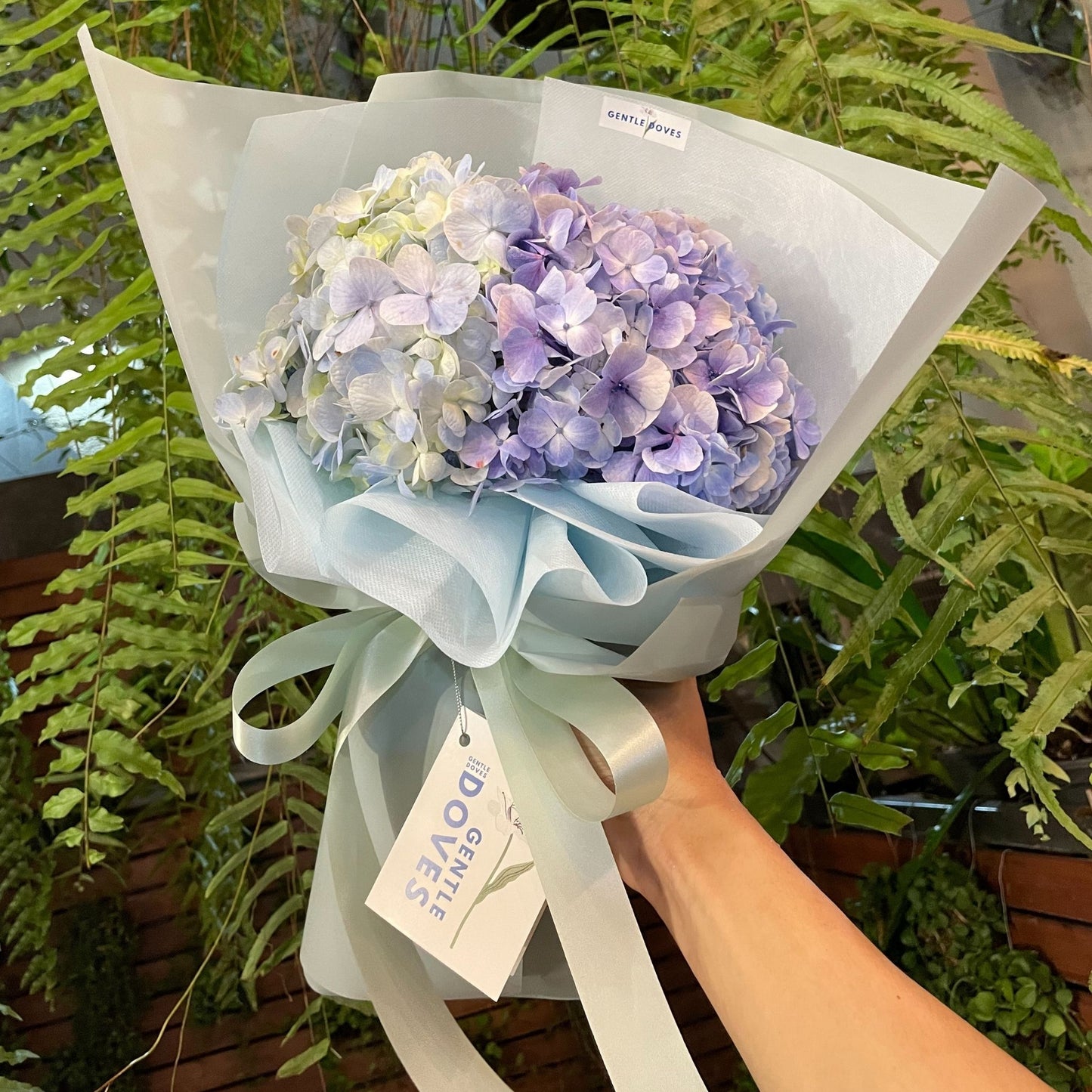 Two Soft Blue Hydrangeas in Soft Green Paper Bouquet