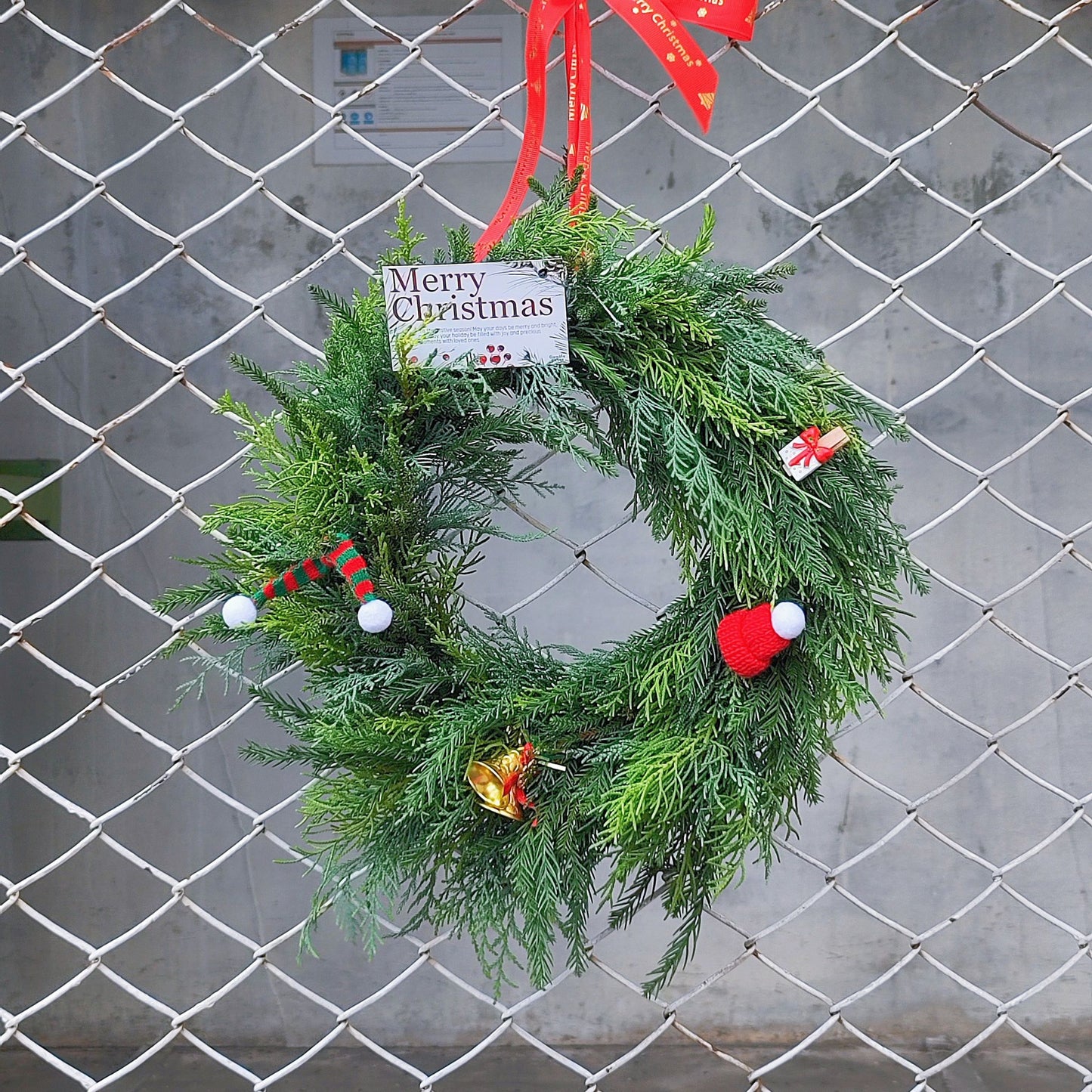 Conifer Christmas Wreath
