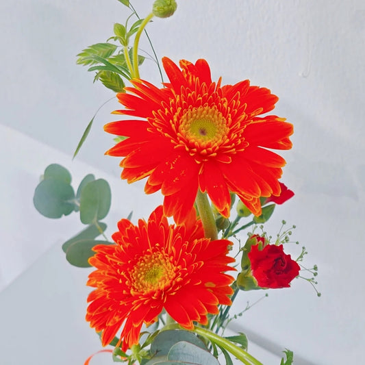 āđāļāļāļąāļāļāļāļāđāļĒāļāļāļĩāļĢāđāļē 2 āļāļāļ āđāļāļĄāđāļāđāļĄāđ āđāļāļāļąāļāļāļāļēāļāļĄāļīāļāļī