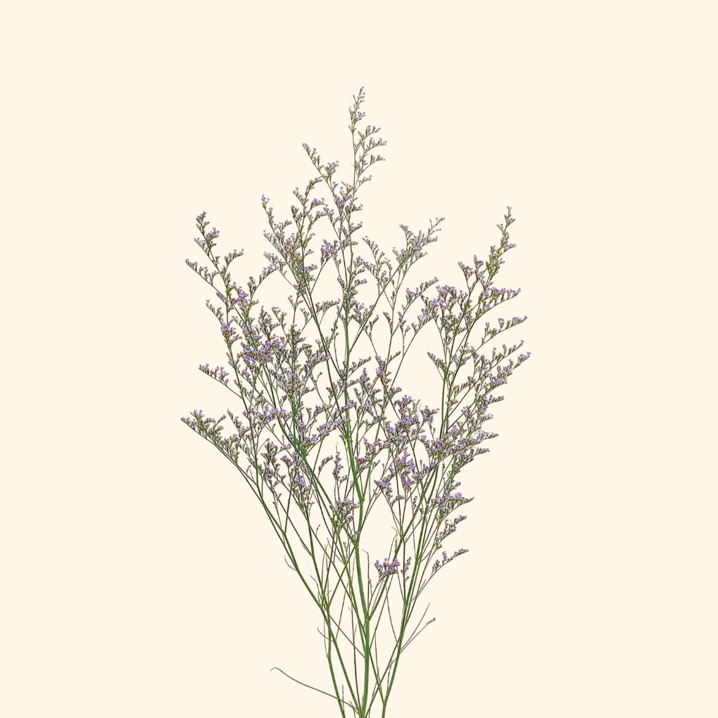 แคสเปีย