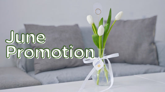 June Promotion