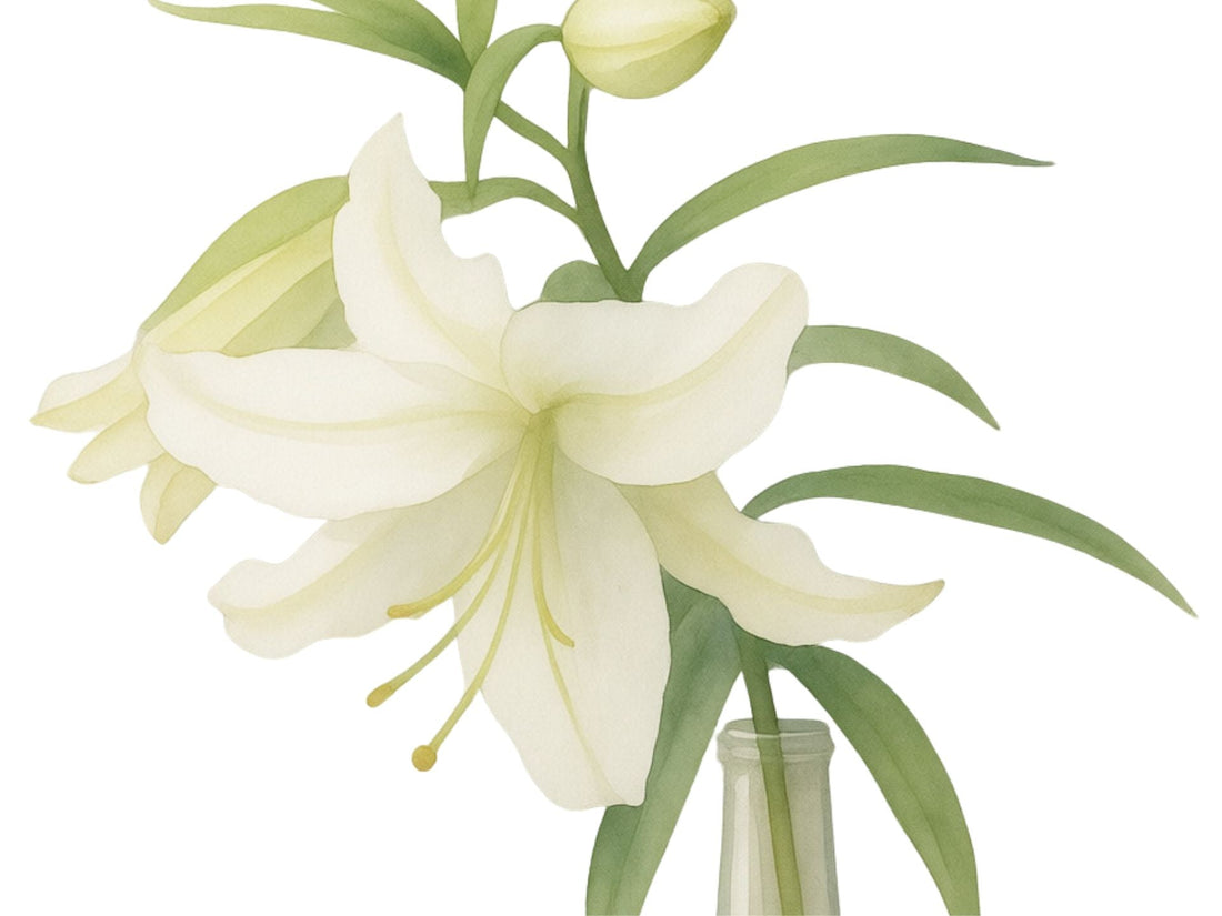 How to Care for Lilies in a Vase — Keep Them Fresh for Up to 2 Weeks