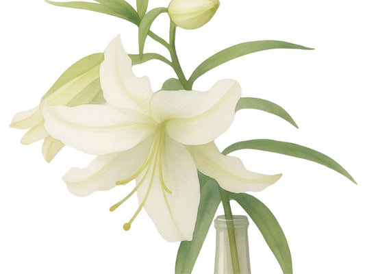 How to Care for Lilies in a Vase — Keep Them Fresh for Up to 2 Weeks