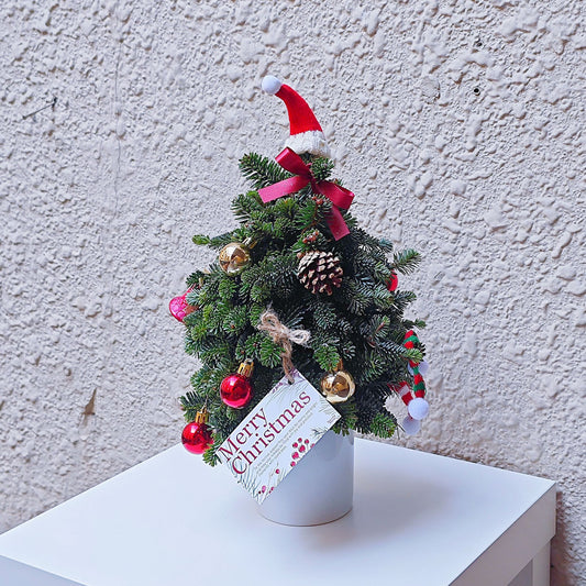 Decorated Christmas Tree in Small Ceramic Vase Arrangement