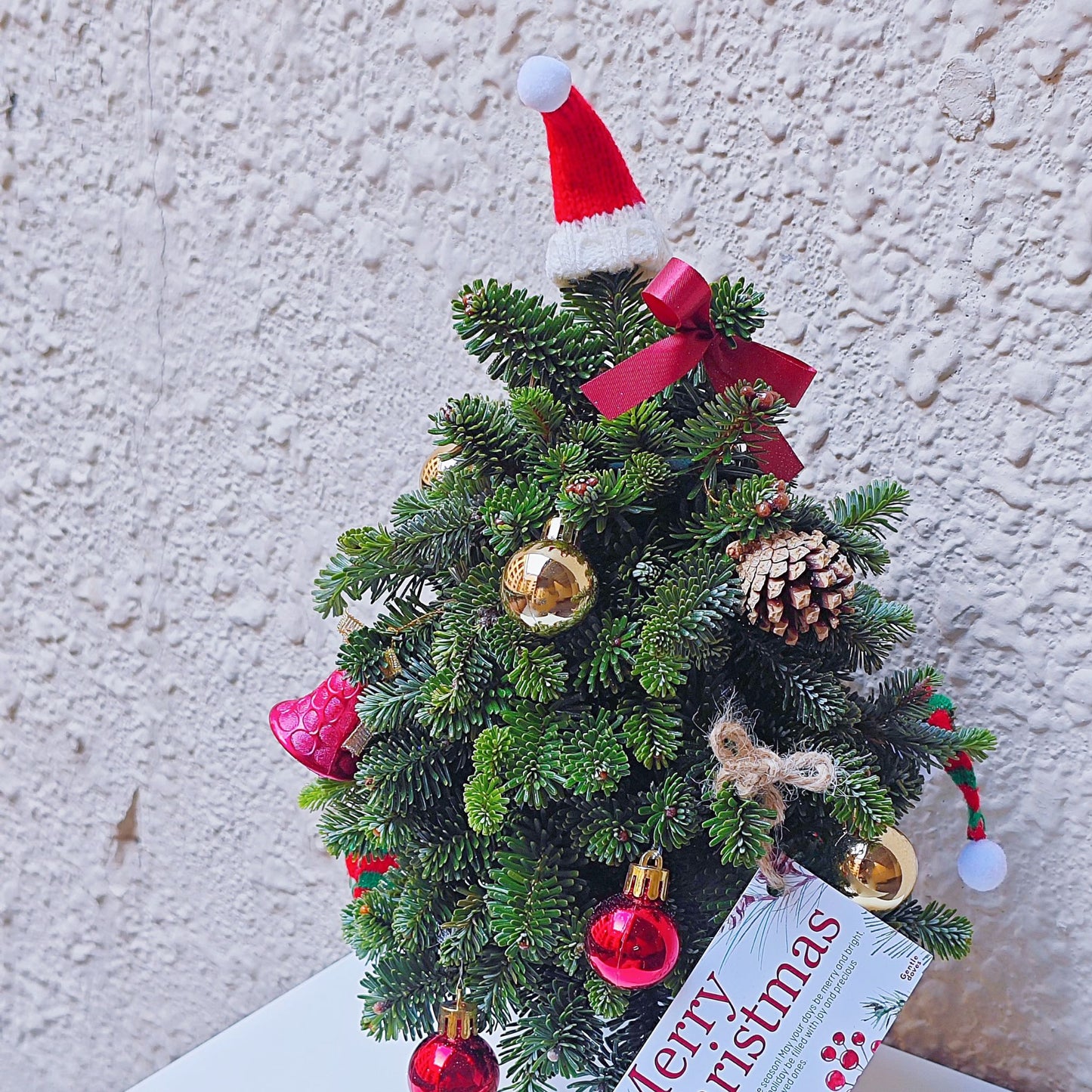 Decorated Christmas Tree in Small Ceramic Vase Arrangement