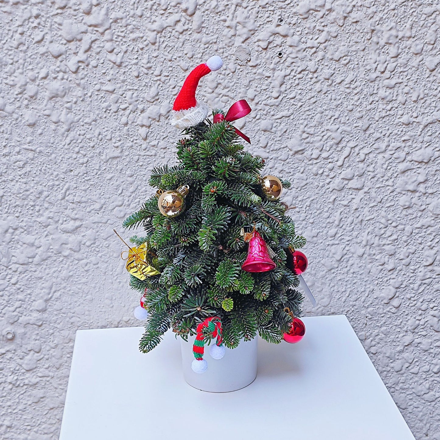 Decorated Christmas Tree in Small Ceramic Vase Arrangement