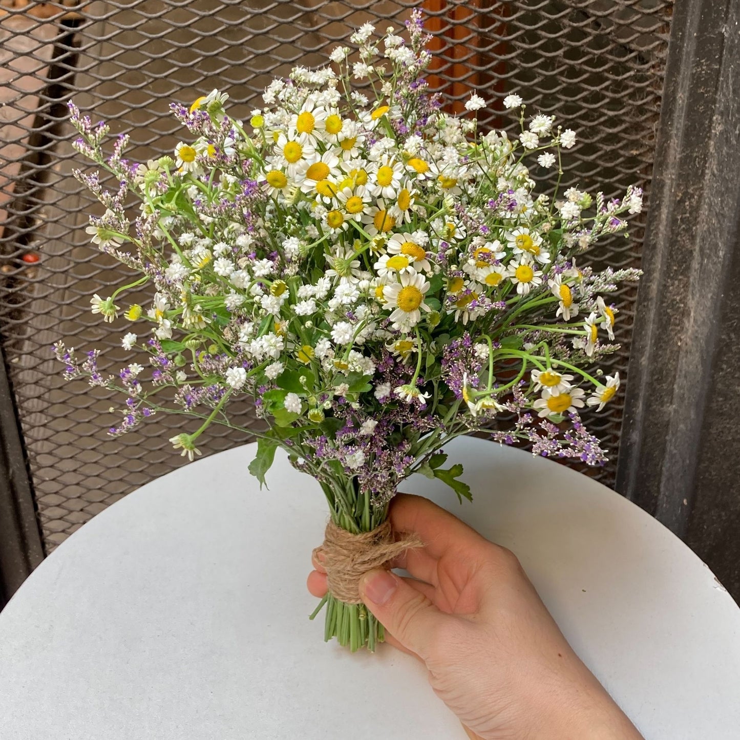 Daisies, Gypso, Caspia Hand-Tied Small Bouquet