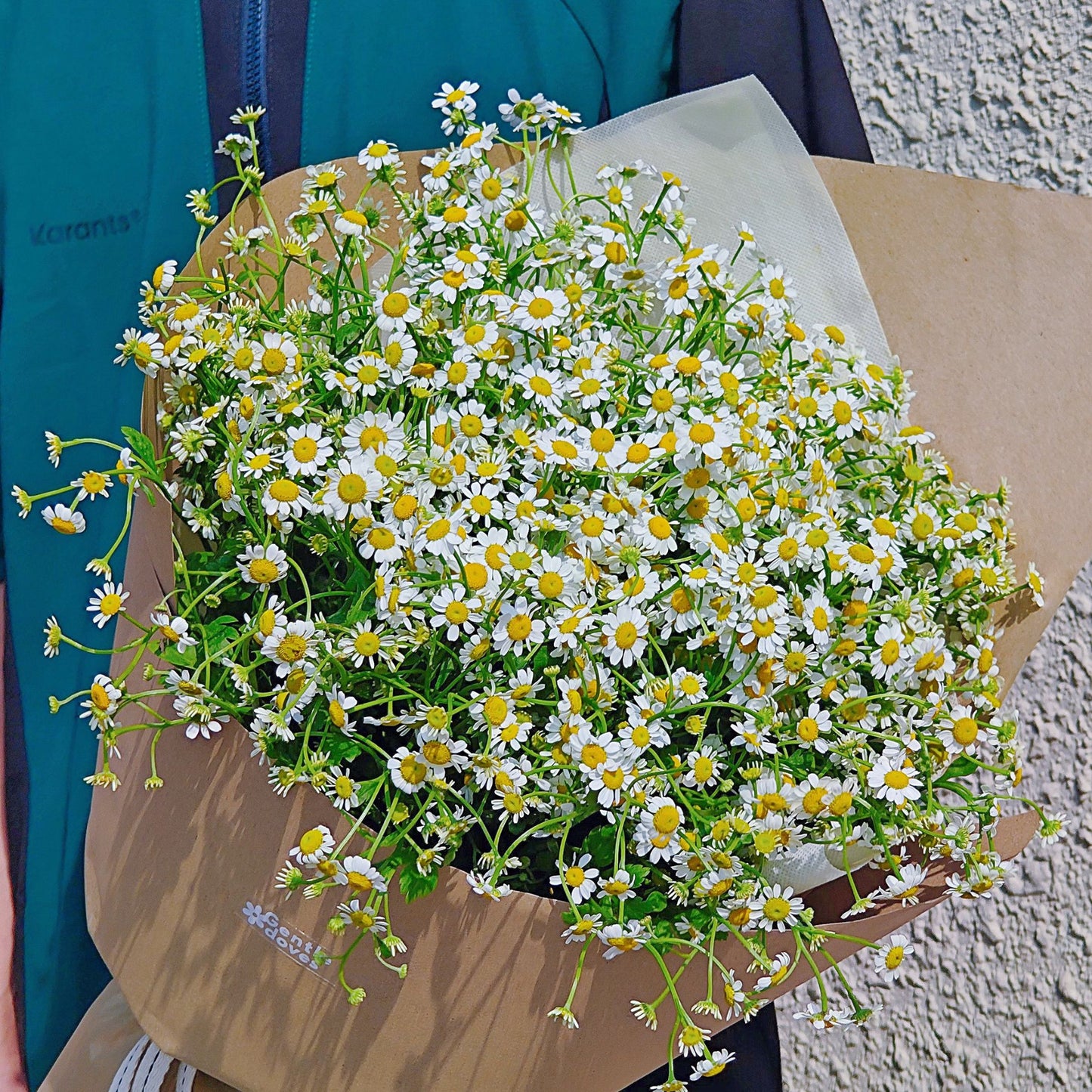 Daisies in Craft Paper Large Bouquet