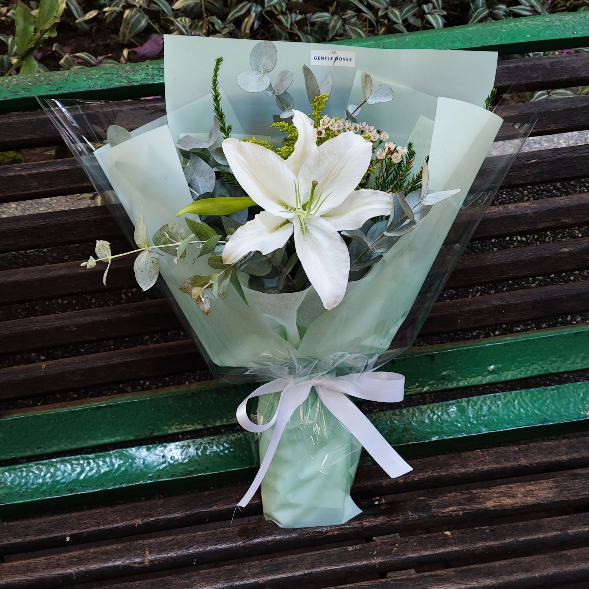 lily single flower Single Lily with Foliage Bouquet – Gentle Doves Flower Shop