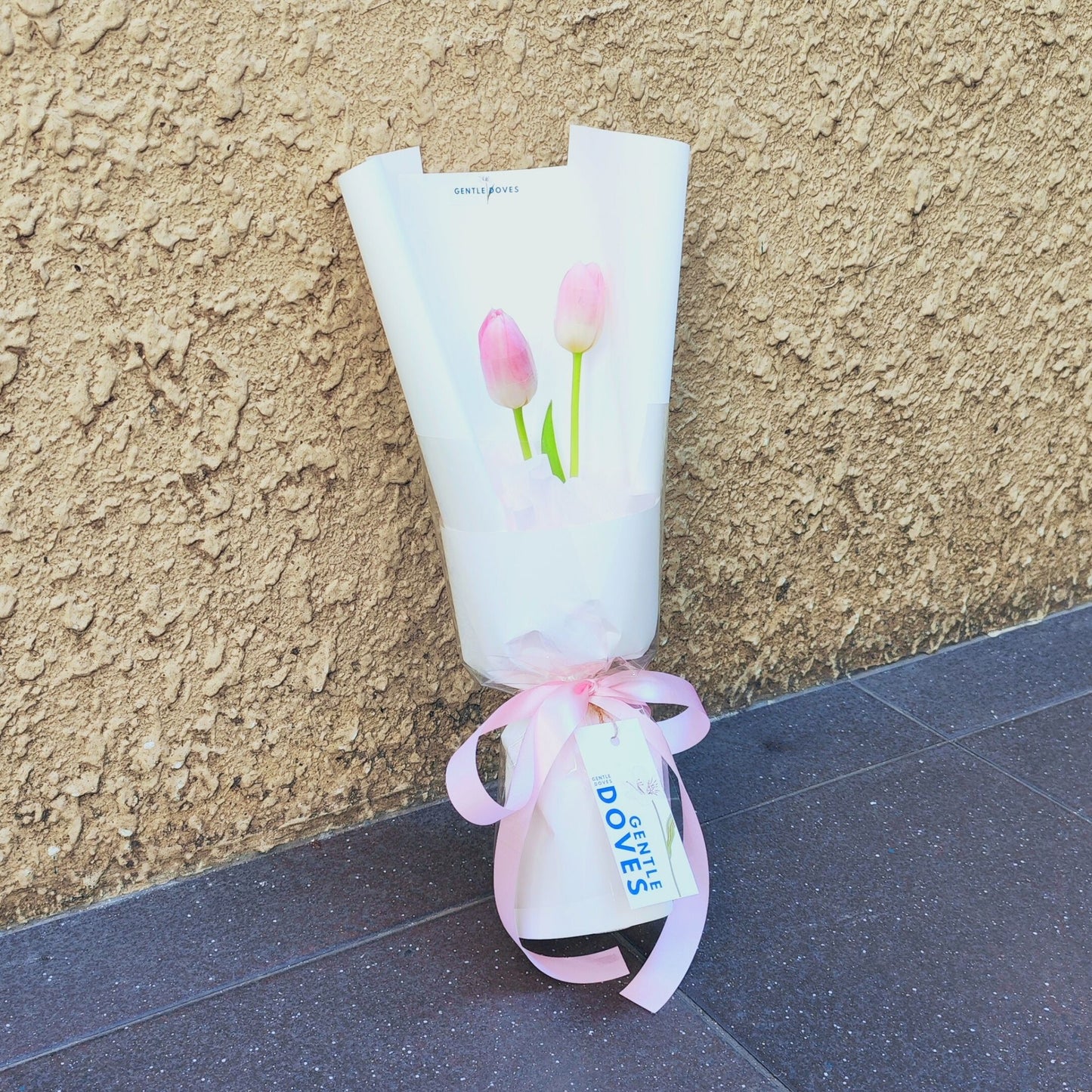 Two Soft Pink Tulips in Cylinder Wrapping Bouquet