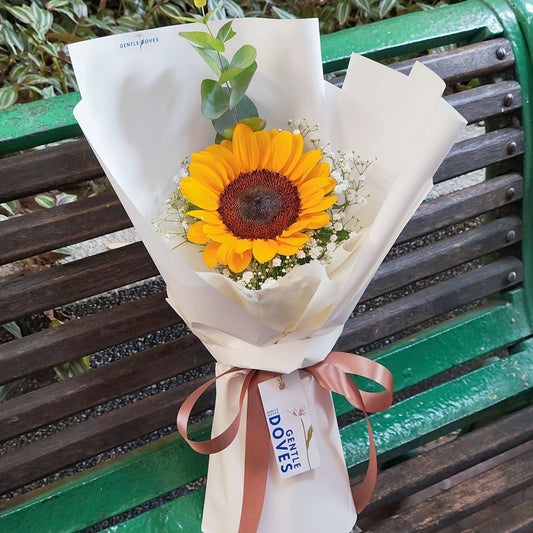 Single Sunflower with Gypsophila Cylinder Wrapping Bouquet