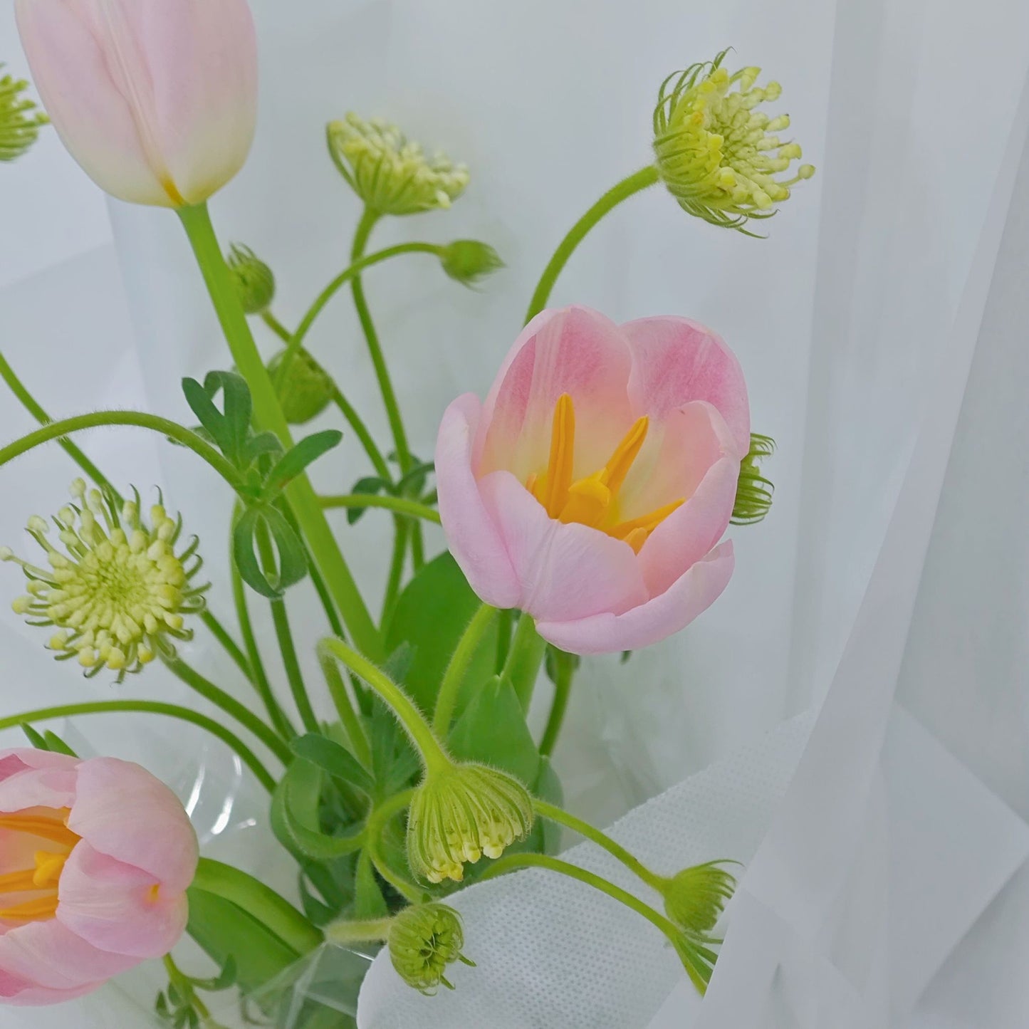 Three Soft Pink Tulips with Green Foliage Bouquet