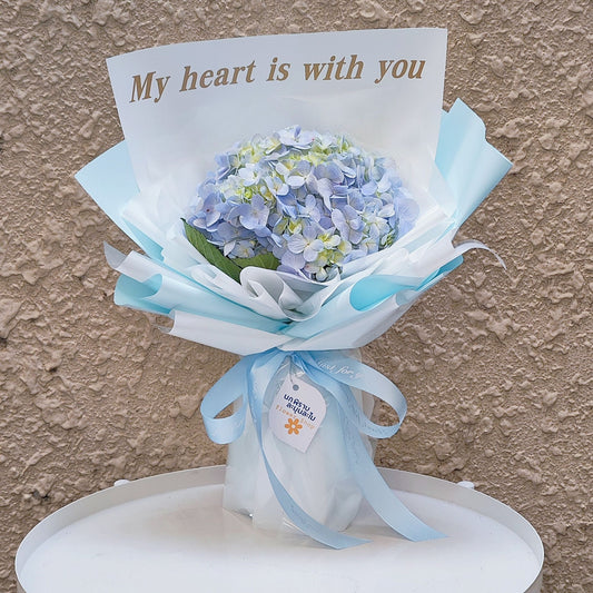 Single Soft Blue Hydrangea 'My heart is with you' Korean Style Bouquet