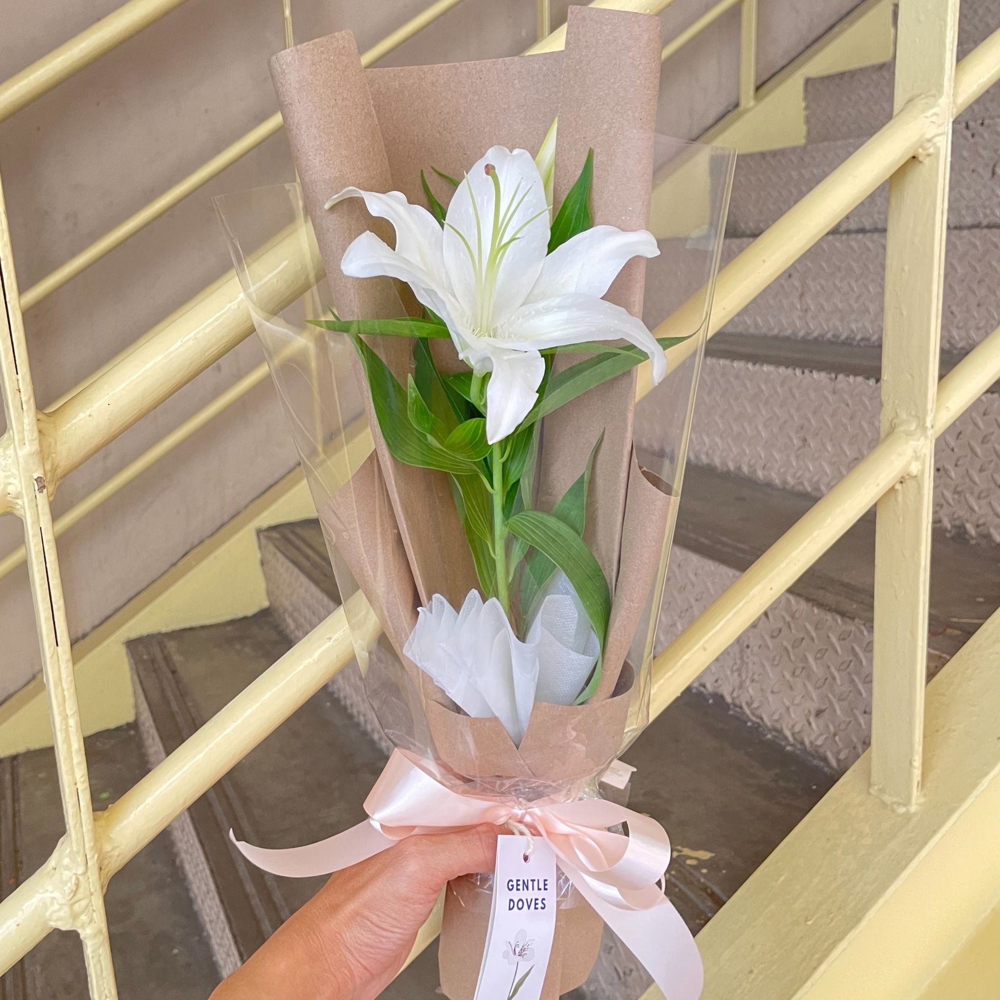 white paper lily Single White Lily in Kraft Paper Bouquet – Gentle Doves Flower Shop