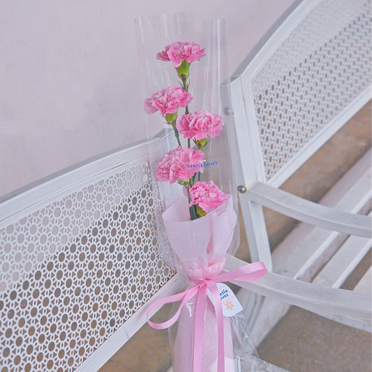 Five Pink Carnations Minimal Style Bouquet