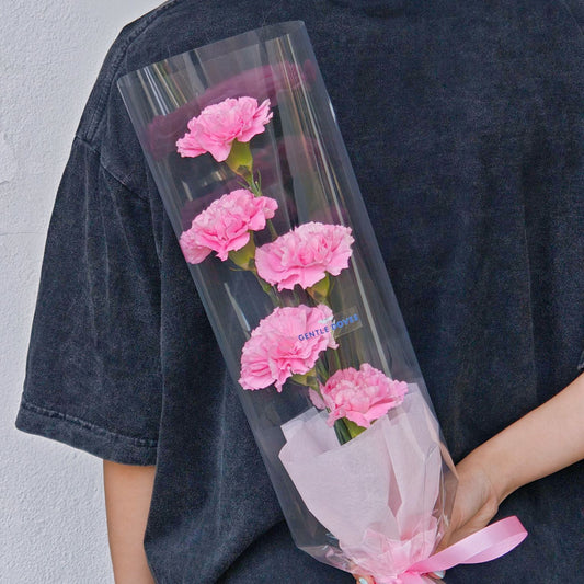 Five Pink Carnations Minimal Style Bouquet