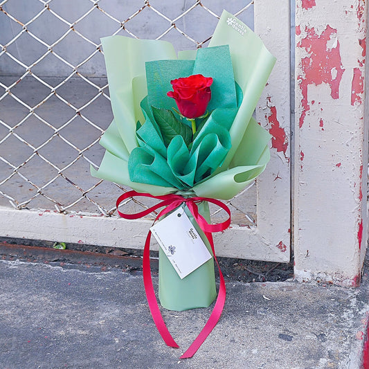 Single Imported Red Rose in Green Paper Bouquet