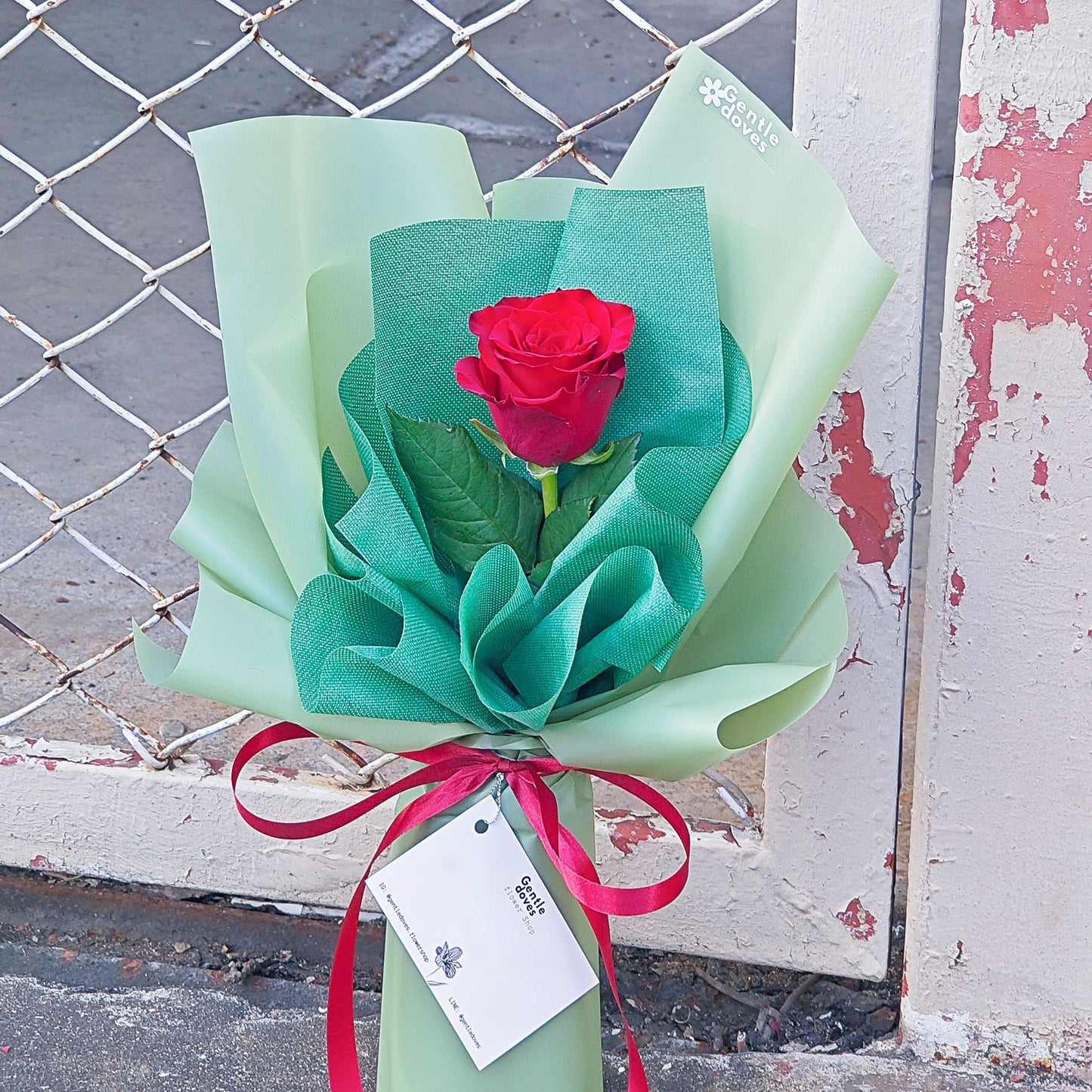 Single Imported Red Rose in Green Paper Bouquet