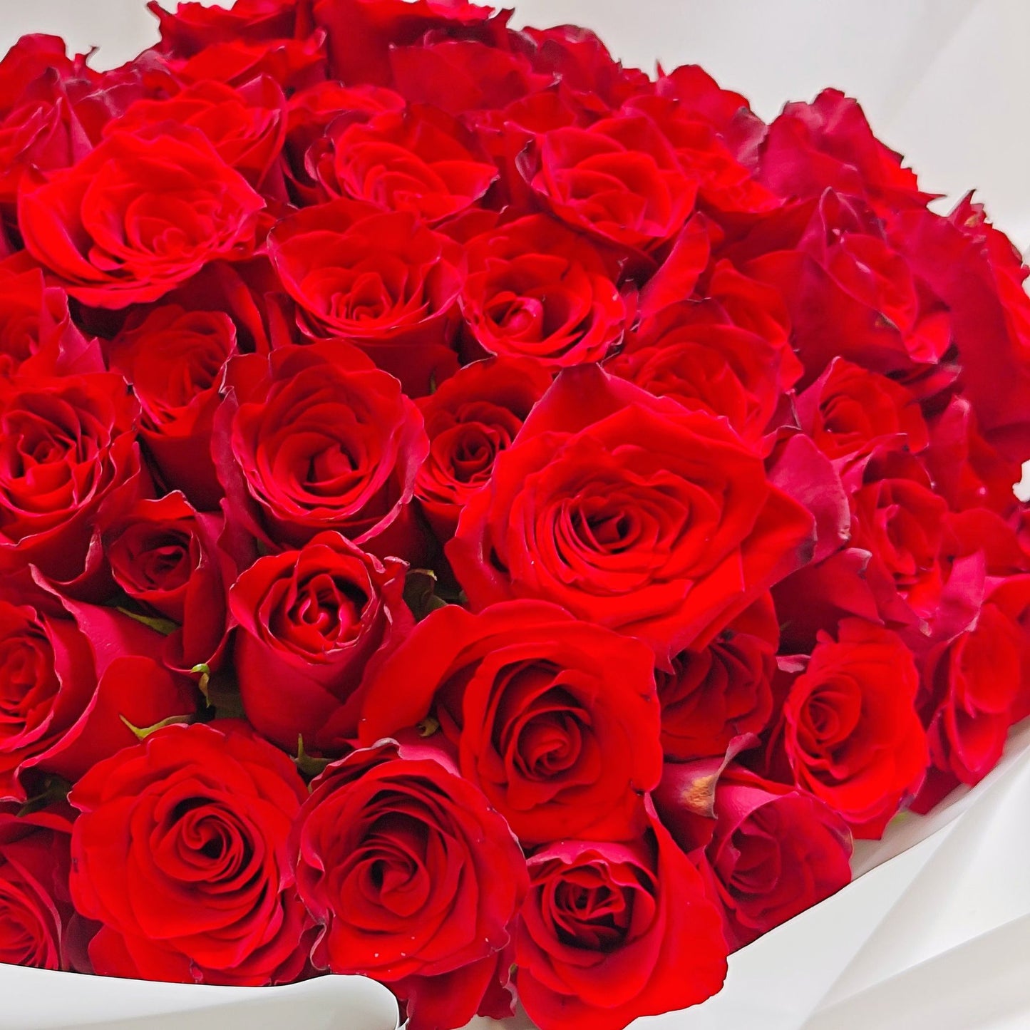 Ninety - Nine Red Roses in White Paper Bouquet