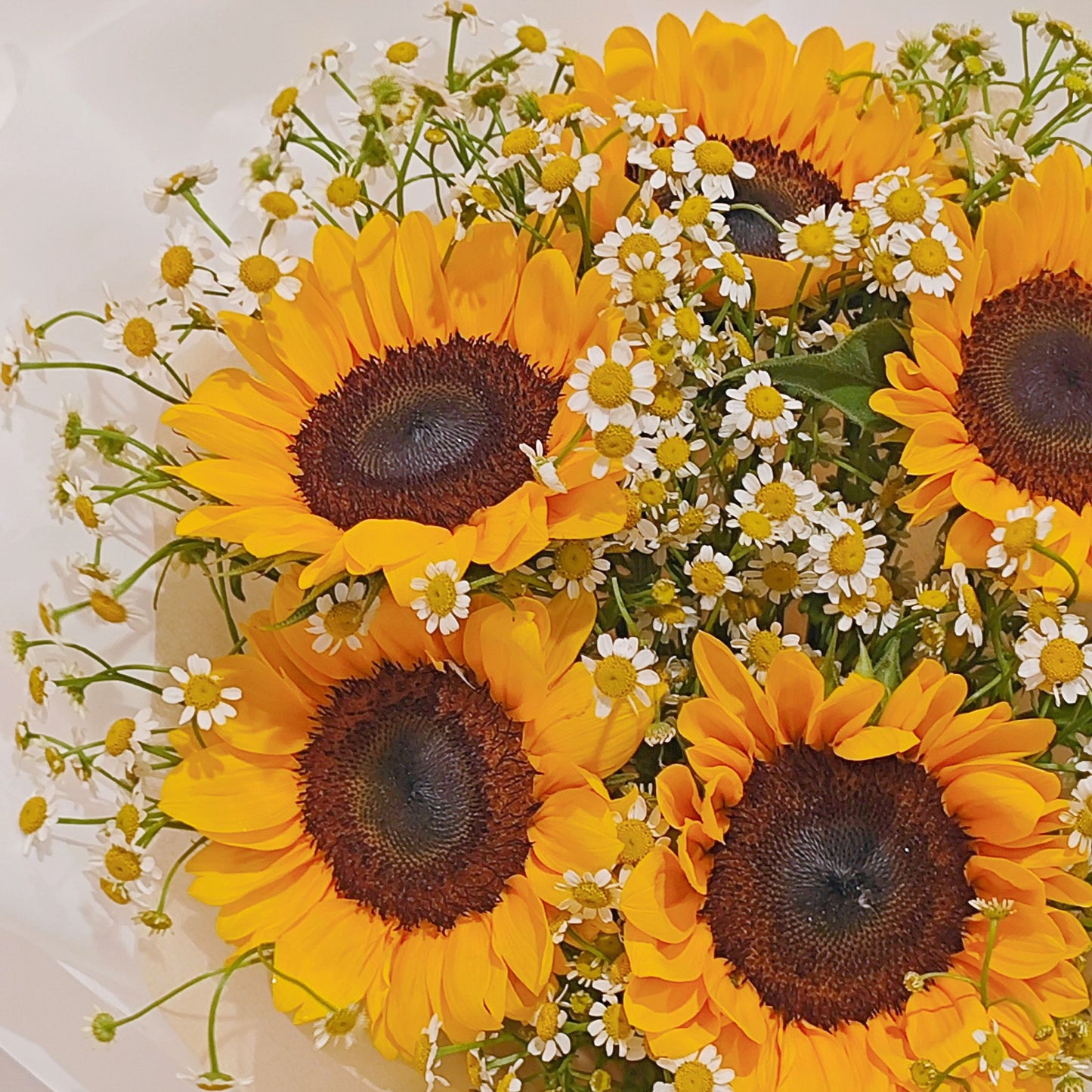 Five Sunflowers with Daisies in White Paper Minimal Bouquet