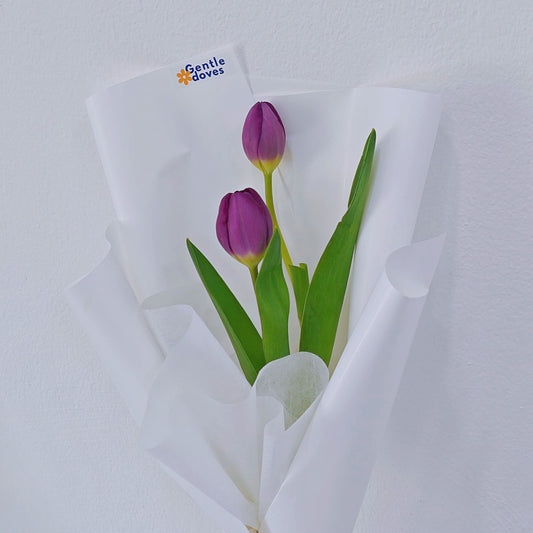 Two Purple Tulips in White Paper Bouquet