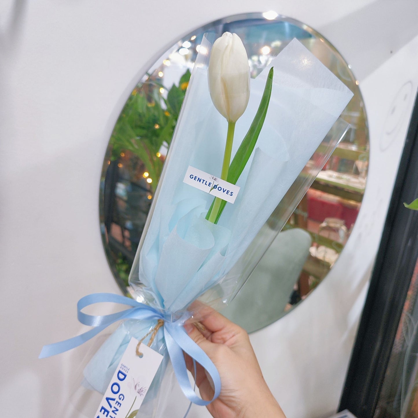 Single White Tulip in Soft Blue Paper Minimal Bouquet