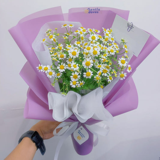 Daisies in Soft Purple Paper Bouquet